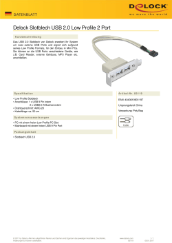 Delock Slotblech USB 2.0 Low Profile 2 Port