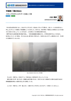 記事全文（PDF） - NPO法人 国際環境経済研究所｜International