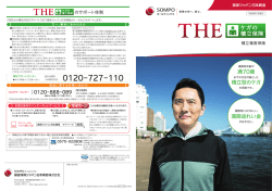 積立傷害保険『THE ケガの積立保険』_損保ジャパン日本興亜