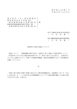 （平成28年12月28日保医発1228第1号）