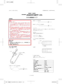 PDFファイル