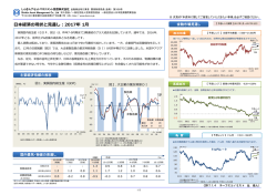 日本経済の現状と見通し：2017年 1月