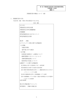 評価報告書の構成について（案）