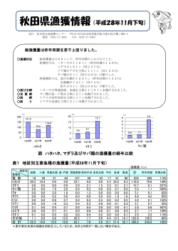秋田県漁獲情報 （平成28年11月下旬）
