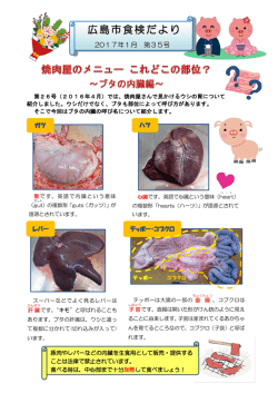 ブタの内臓編～（H29年1月）