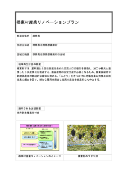 榛東村産業リノベーションプラン