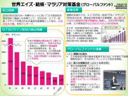 世界エイズ・結核・マラリア対策基金（グローバルファンド） 平成28年12月