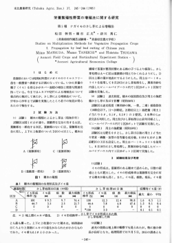 栄養繁殖性野菜の増殖法に関する研究 第5報 ナガイモのさし芽による