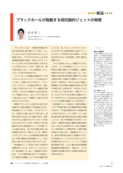 ブラックホールが駆動する相対論的ジェットの物理