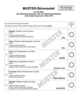 MUSTER-Stimmzettel
