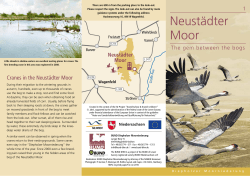 Flyer Neustädter Moor (PDF-Dokument 0,5 MB)