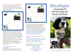 BlindSight - Jordy Canid Inc.