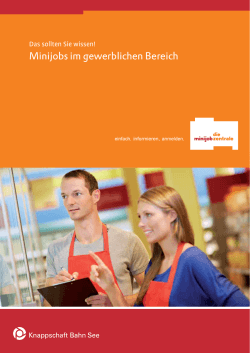 herunterladen (PDF 819KB) - Minijob