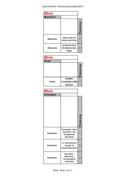Ergebnisse des Gardeballs