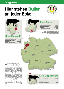 Hier stehen Bullen an jeder Ecke