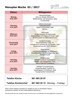 Menuplan Woche 03 / 2017