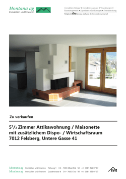 Doku Felsberg Januar 2017.indd