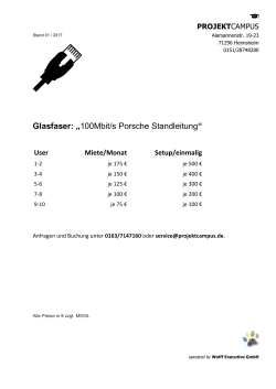 Glasfaser: „100Mbit/s Porsche Standleitung “