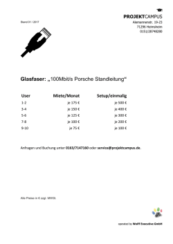 Glasfaser: &bdquo;100Mbit/s Porsche Standleitung &ldquo;