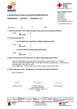 II. Auswertung der Fragen zur Kooperationsstelle Meinersen