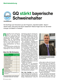 Diesen Beitrag als PDF herunterladen