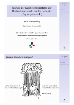 Warum Durchforstungen?