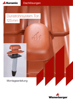 Dunstrohrsystem Ton 125 mm