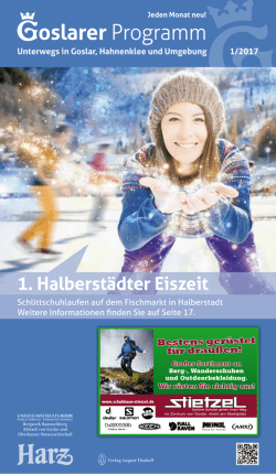 Goslarer Programm Januar 2017