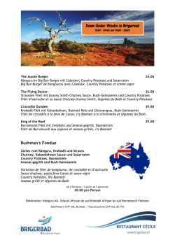 Down Under Weeks in Brigerbad