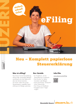 eFiling - Steuern Luzern