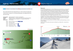 Eggberge &ndash; Alpstubli Selez