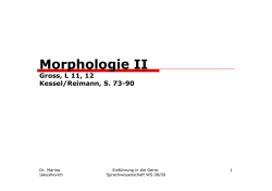 Morphologie II