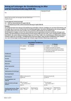 Antrag Hzl GSI PDF