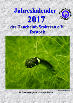 Jahreskalender 2017