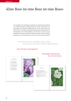 Eine Rose ist eine Rose ist eine Rose