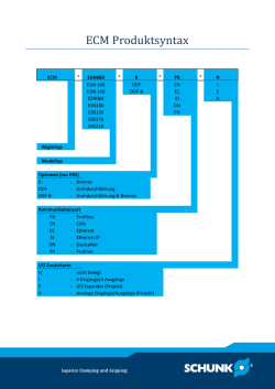ECM Produktsyntax