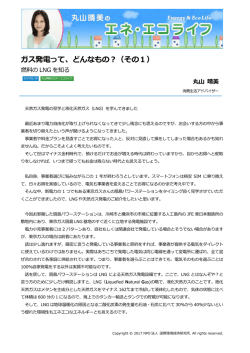 記事全文（PDF） - NPO法人 国際環境経済研究所｜International