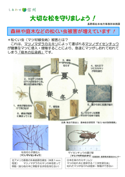 松本管内の松枯れ状況