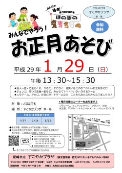 平成 29 年 1 月 29 日
