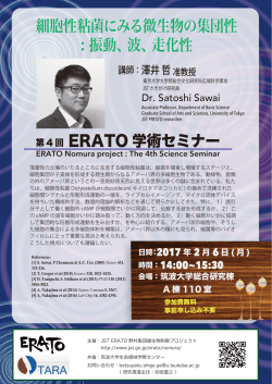 ポスター - 筑波大学