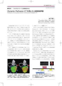 Dynamic Perfusion CT を用いた心筋虚血評価