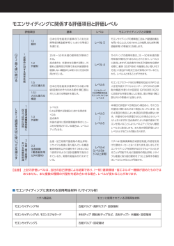 モエンサイディングに関係する評価項目と評価レベル