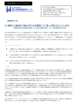 詳細（PDF） - 東北大学大学院医学系研究科・医学部