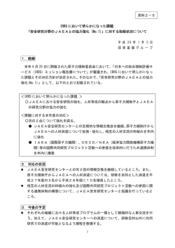 IRRS において明らかになった課題