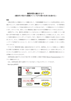 親世代で受けた環境ストレスが子孫の生存力を高める