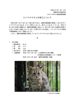 （福岡市発表資料）［PDFファイル／28KB］