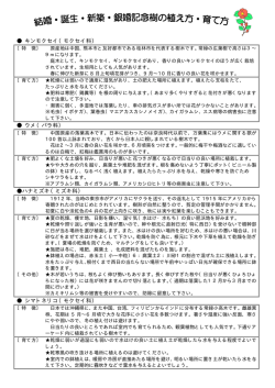 記念樹の植え方育て方