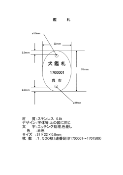サイズ：31×22×0.8mm，文字：エッチング処理，色差し