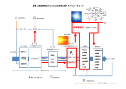 農業-工業超域的ビジョンによる未来に輝くPバリューチェーン