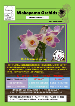 Wakayama Orchids